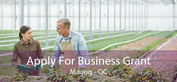 Apply For Business Grant Magog - QC